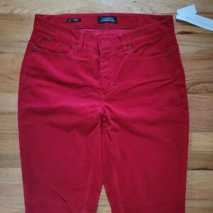 Talbots Curvy Straight Leg Corduroy Pants Women’s Sz 8L Five Pocket Hourglass